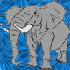 elephant_swirl.jpg