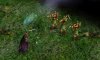 Civ4ScreenShot0019.JPG