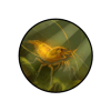 Shrimp_resource.png