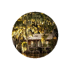Cajun_Swamp_Cabin_768.png