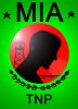 MIA flag TNP.jpg