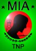 MIA flag emboss.jpg