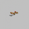 Skreech_Fortify.gif