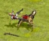 RCavalryDeath.jpg