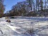 IMG_20210214_115202.jpg