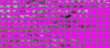 stmge.GIF