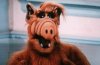 alf.JPG