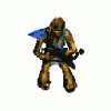 WookieePedia.gif