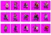 Units_KartHadash_1.jpg