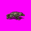 Animation8.gif