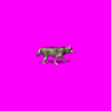 Animation2.gif