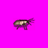 Animation5.gif