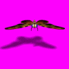 Mothra-1.gif