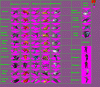 units-for-civ.gif