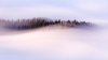 Fog_Graphic.jpg
