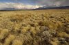 Southern_America_Dry_Steppes.jpg