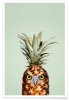 Pineapple-Owl-Jonas-Loose-Poster.jpg