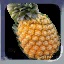 Pine_Apple_Button.jpg