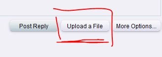 How_To_Attach_Files.JPG