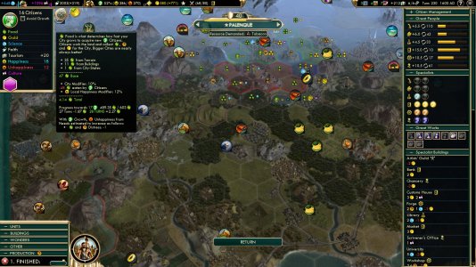 bug 2.jpg