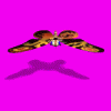Mothra-NewTexture.gif