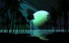 thetismoon1920_xthumb.jpg