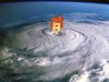 wilma_202.jpg