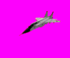 MiG-31BM.gif