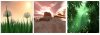 preview ecology.jpg