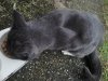 IMG_20210914_181639.jpg