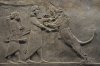 Ashurbanipal, the last great Assyrian king, hunting lions (Palace of Nineveh) c.645 -635 BC.jpg