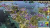 edge159venicet332win.jpg