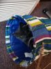 IMG_20211110_190219.jpg
