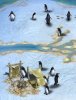Penguin.jpg
