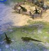Iguana.jpg
