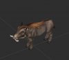 Wild_Boar_Resource.JPG