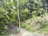IMG_20211201_103148.jpg