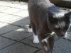 IMG_20220102_094919.jpg
