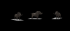boar.PNG