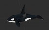 Orca_Image.JPG