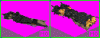 tokugawa&sdf-3.GIF