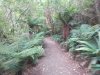 IMG_20220124_124011.jpg