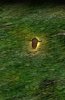 Civ4ScreenShot0000.JPG