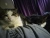 IMG_20220519_095547.jpg