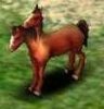 horsey.JPG