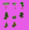 Trees.jpg