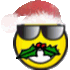 smilechirtmas.png