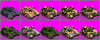 Tanelorn Baneblade Turret II.png