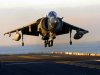 Harrier.jpg