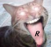 ahh.PNG